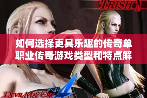 如何选择更具乐趣的传奇单职业传奇游戏类型和特点解析