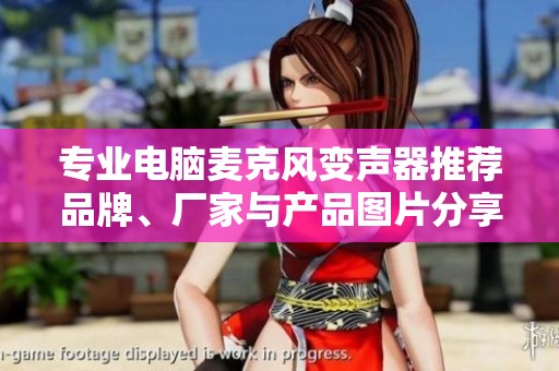 专业电脑麦克风变声器推荐品牌、厂家与产品图片分享
