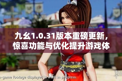 九幺1.0.31版本重磅更新，惊喜功能与优化提升游戏体验倍增