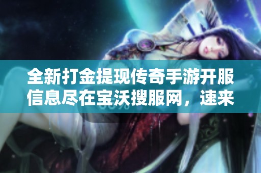 全新打金提现传奇手游开服信息尽在宝沃搜服网，速来查看！