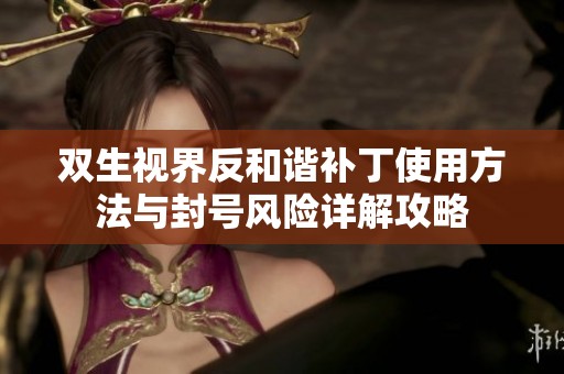 双生视界反和谐补丁使用方法与封号风险详解攻略