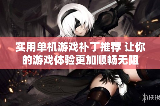 实用单机游戏补丁推荐 让你的游戏体验更加顺畅无阻