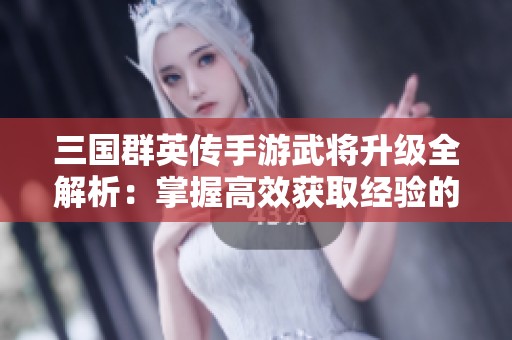 三国群英传手游武将升级全解析：掌握高效获取经验的策略技巧