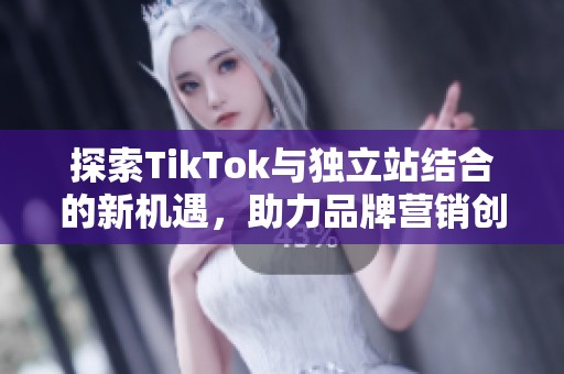 探索TikTok与独立站结合的新机遇，助力品牌营销创新之路