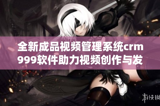 全新成品视频管理系统crm999软件助力视频创作与发布