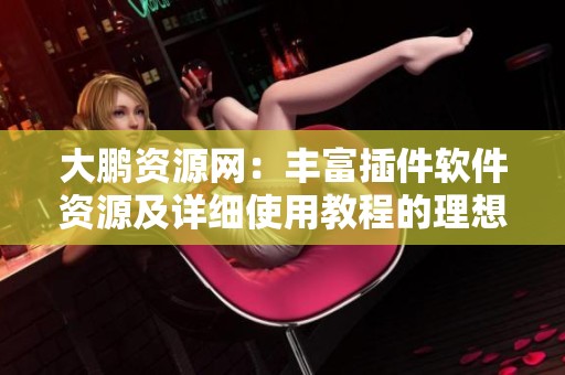 大鹏资源网：丰富插件软件资源及详细使用教程的理想选择