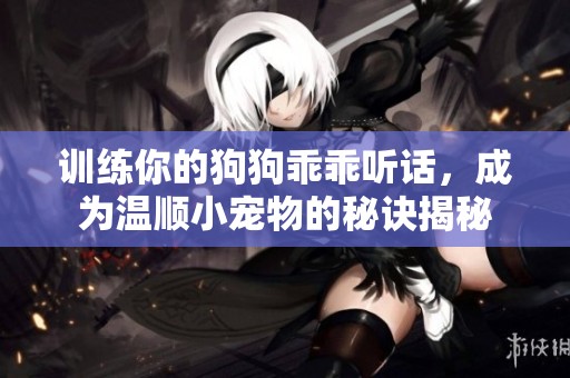 训练你的狗狗乖乖听话，成为温顺小宠物的秘诀揭秘