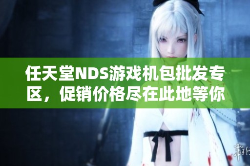 任天堂NDS游戏机包批发专区，促销价格尽在此地等你来选购