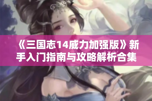 《三国志14威力加强版》新手入门指南与攻略解析合集