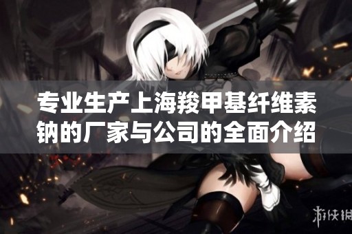 专业生产上海羧甲基纤维素钠的厂家与公司的全面介绍
