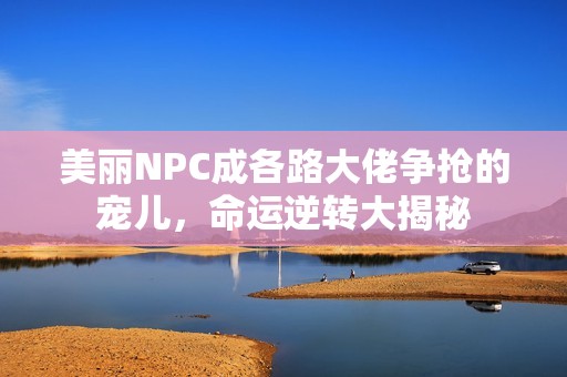 美丽NPC成各路大佬争抢的宠儿，命运逆转大揭秘