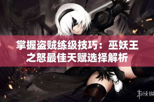 掌握盗贼练级技巧：巫妖王之怒最佳天赋选择解析