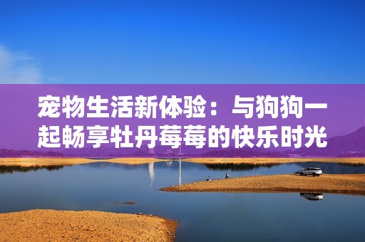 宠物生活新体验：与狗狗一起畅享牡丹莓莓的快乐时光