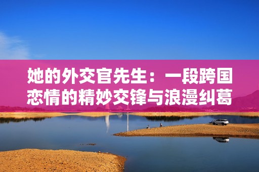 她的外交官先生：一段跨国恋情的精妙交锋与浪漫纠葛