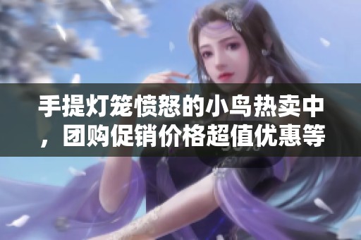 手提灯笼愤怒的小鸟热卖中，团购促销价格超值优惠等你来抢