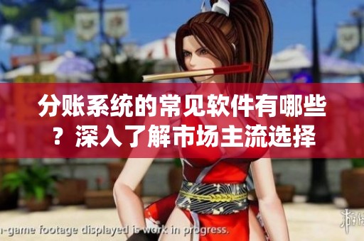 分账系统的常见软件有哪些？深入了解市场主流选择