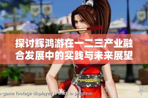 探讨辉鸿游在一二三产业融合发展中的实践与未来展望