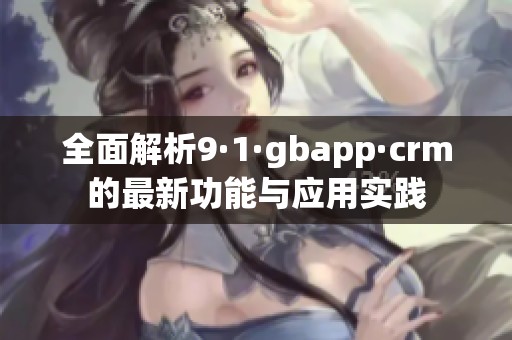 全面解析9·1·gbapp·crm的最新功能与应用实践