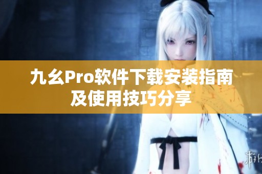 九幺Pro软件下载安装指南及使用技巧分享
