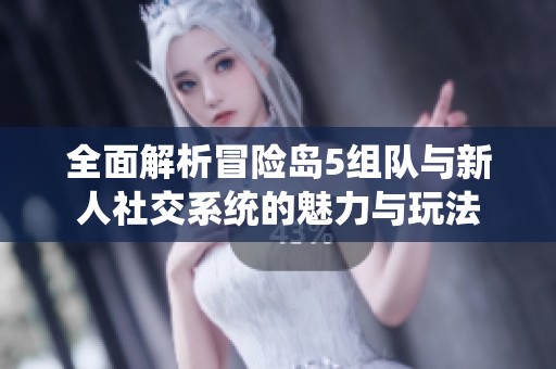 全面解析冒险岛5组队与新人社交系统的魅力与玩法