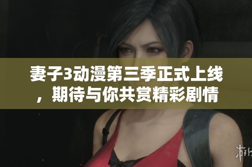 妻子3动漫第三季正式上线，期待与你共赏精彩剧情