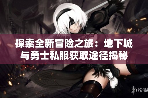 探索全新冒险之旅：地下城与勇士私服获取途径揭秘