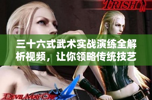 三十六式武术实战演练全解析视频，让你领略传统技艺魅力