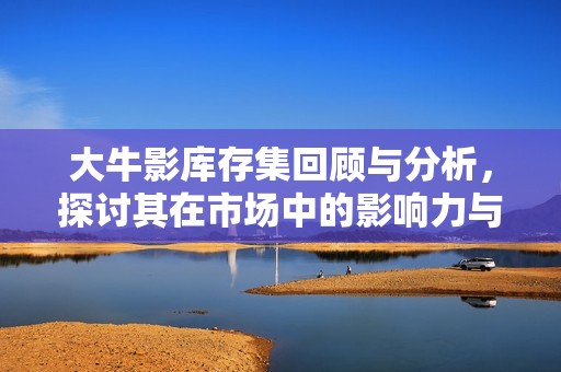 大牛影库存集回顾与分析，探讨其在市场中的影响力与价值