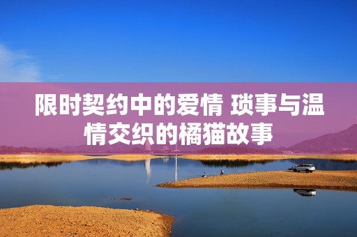 限时契约中的爱情 琐事与温情交织的橘猫故事