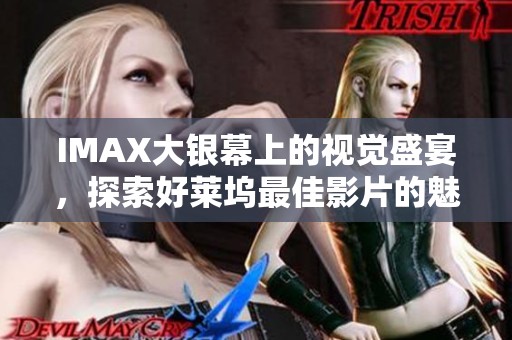 IMAX大银幕上的视觉盛宴，探索好莱坞最佳影片的魅力与震撼