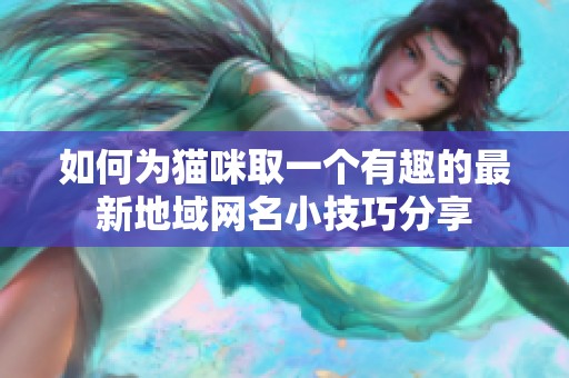 如何为猫咪取一个有趣的最新地域网名小技巧分享