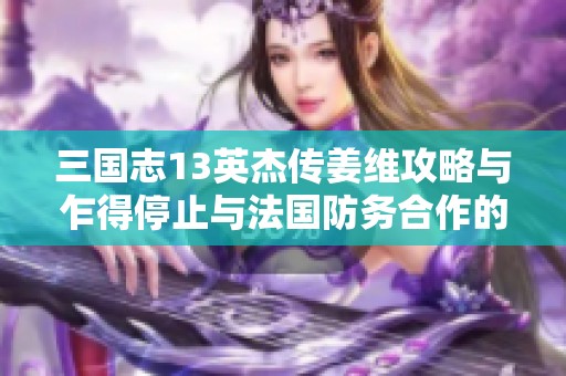 三国志13英杰传姜维攻略与乍得停止与法国防务合作的深度分析