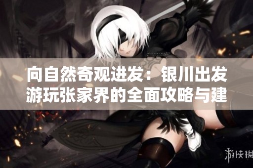 向自然奇观进发：银川出发游玩张家界的全面攻略与建议