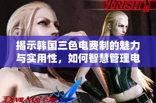 揭示韩国三色电费制的魅力与实用性，如何智慧管理电费支出
