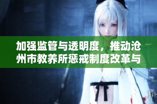 加强监管与透明度，推动沧州市教养所惩戒制度改革与公众参与