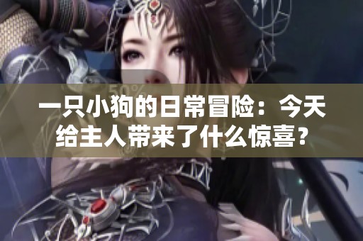 一只小狗的日常冒险：今天给主人带来了什么惊喜？