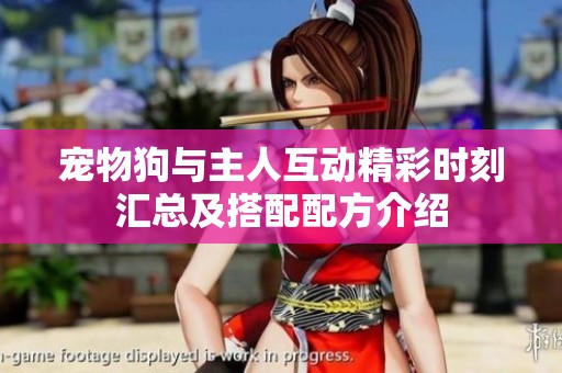 宠物狗与主人互动精彩时刻汇总及搭配配方介绍