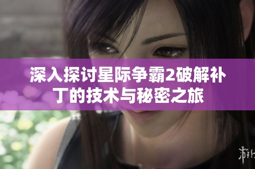 深入探讨星际争霸2破解补丁的技术与秘密之旅