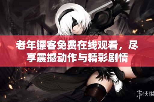 老年镖客免费在线观看，尽享震撼动作与精彩剧情