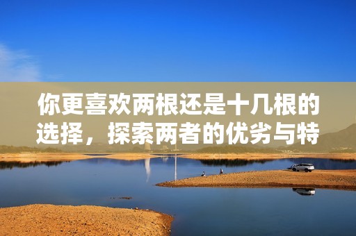 你更喜欢两根还是十几根的选择，探索两者的优劣与特点