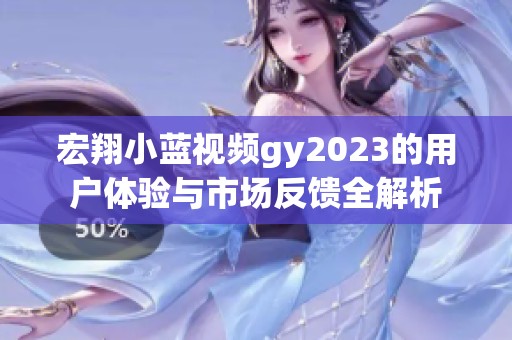 宏翔小蓝视频gy2023的用户体验与市场反馈全解析