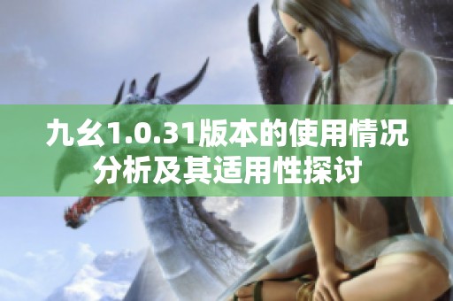 九幺1.0.31版本的使用情况分析及其适用性探讨