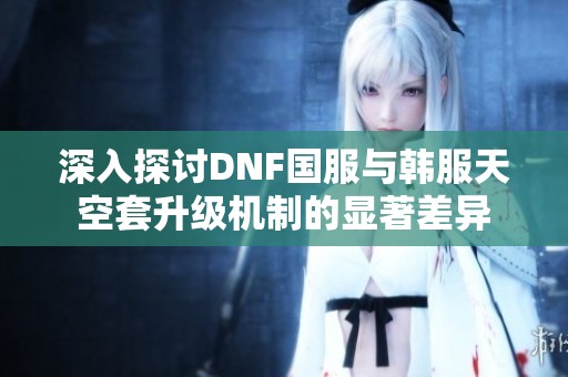 深入探讨DNF国服与韩服天空套升级机制的显著差异