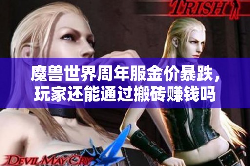 魔兽世界周年服金价暴跌，玩家还能通过搬砖赚钱吗