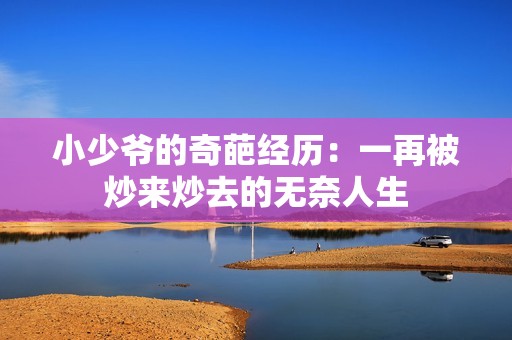 小少爷的奇葩经历：一再被炒来炒去的无奈人生