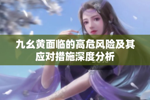 九幺黄面临的高危风险及其应对措施深度分析