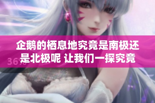 企鹅的栖息地究竟是南极还是北极呢 让我们一探究竟