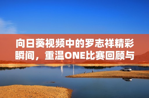 向日葵视频中的罗志祥精彩瞬间，重温ONE比赛回顾与亮点总结
