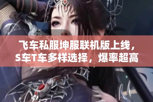 飞车私服坤服联机版上线，S车T车多样选择，爆率超高稳定运行