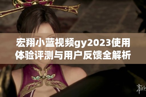 宏翔小蓝视频gy2023使用体验评测与用户反馈全解析
